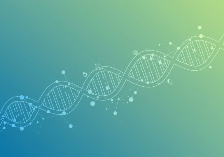 世界初マルチオミクスLLM発表、人体生物学の言語解読で医療革命へ